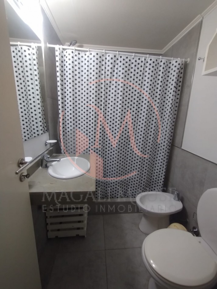 Pellegrini N° 75- UF. 4