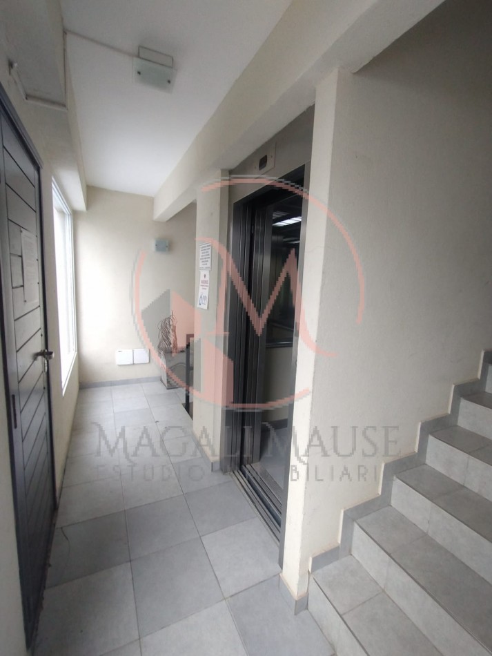 Pellegrini N° 75- UF. 4