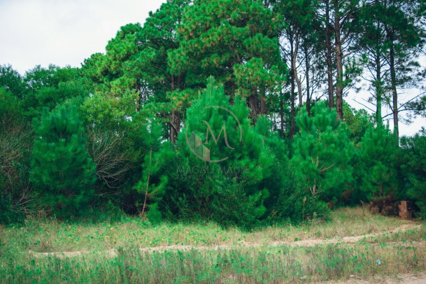 ¡Construye tu refugio costero en la exclusiva zona de Nayades Pinamar!