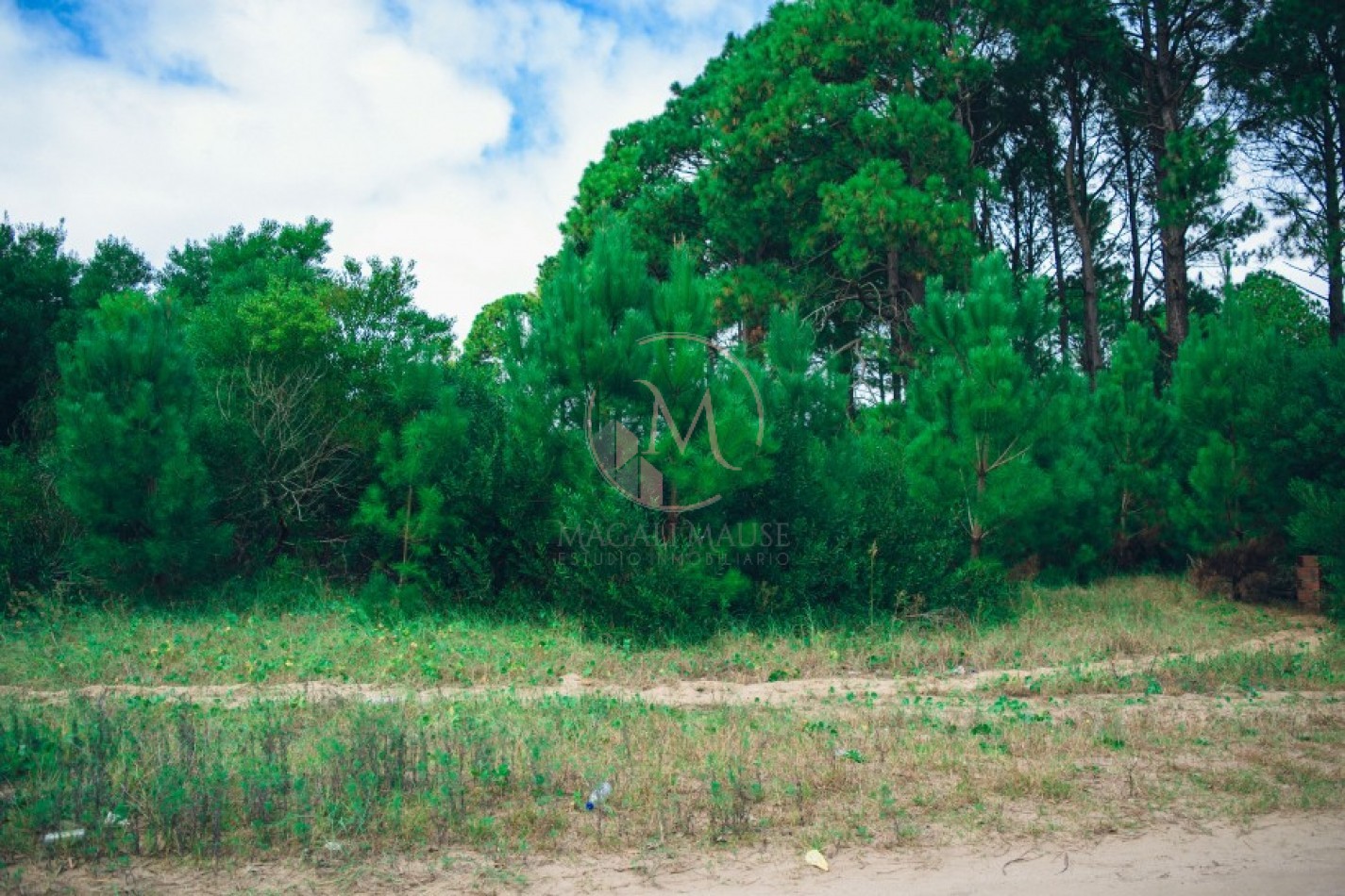 ¡Construye tu refugio costero en la exclusiva zona de Nayades Pinamar!