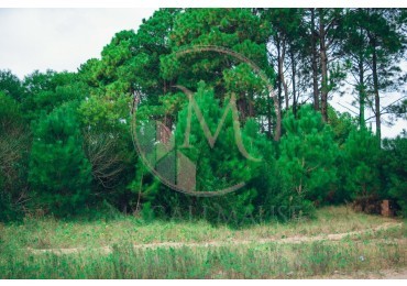 ¡Construye tu refugio costero en la exclusiva zona de Nayades Pinamar!